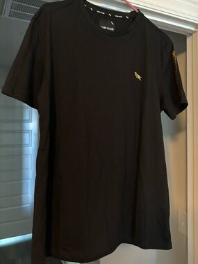 Stone Falcon Men’s Tshirt, XL
